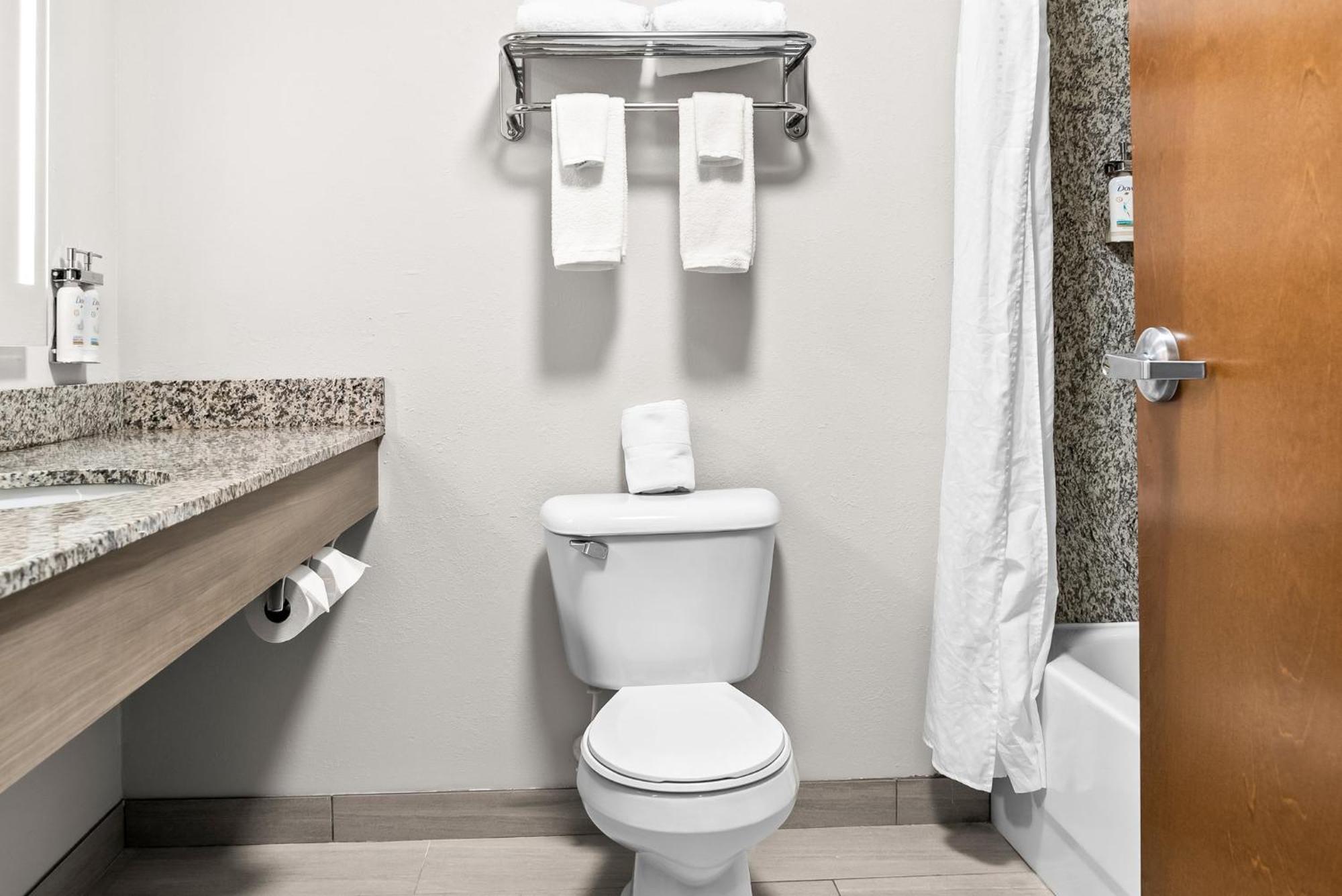 Holiday Inn Express & Suites Detroit - Novi By Ihg Luaran gambar